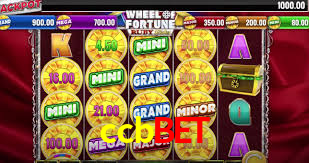 ccbbet app